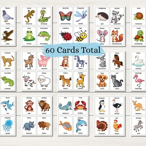 May include: A set of 60 animal flashcards. Each card features a colorful illustration of an animal and its name. Animals include a parrot, pigeon, lizard, snake, butterfly, dragonfly, hedgehog, and raccoon.
