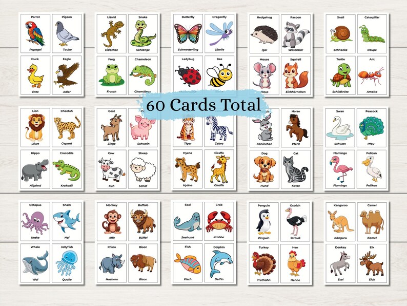 May include: A set of 60 animal flashcards. Each card features a colorful illustration of an animal and its name. Animals include a parrot, pigeon, lizard, snake, butterfly, dragonfly, hedgehog, and raccoon.