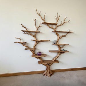 Driftwood shelf wall mount tree branch bookshelf solid wood handmade furniture bookcase wall art decor living room