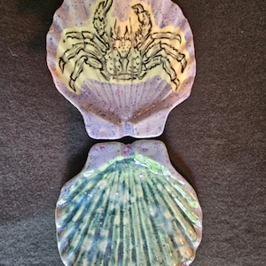 Concha de vieira grande - Bisque