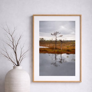Lonely Pine Reflection, nördliche Moorlandschaft, minimalistische Naturwandkunst