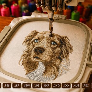Diseño de bordado de pastor australiano, patrón para máquina de bordar de raza de perro, aro de 5x7 pulgadas, descarga digital instantánea, retrato realista de mascota para máquina de bordar.