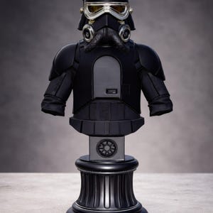 May include: A black bust of a Star Wars Death Trooper, featuring a helmet with gold-colored goggles and respirator. The bust is mounted on a black pedestal with a circular design. The figure is a detailed representation of the character.