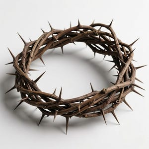 May include: A brown crown of thorns, a circular arrangement of thorny branches. The thorns are sharp and pointed, extending outwards from the crown's structure. The crown is set against a white background.