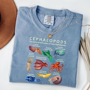May include: A light blue t-shirt featuring a graphic of various cephalopods, including cuttlefish, squids, and octopuses, with scientific labels. The shirt has a crew neck and short sleeves. A gold necklace is draped across the shirt.