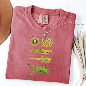 May include: A red Comfort Colors t-shirt with a graphic of a frog life cycle in yellow and green. A silver necklace with a pendant is draped across the shirt. The shirt is size S-CH.