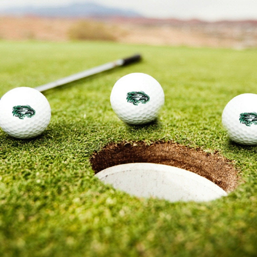 Zionsville Indiana Golf Ball Set of 3 by Justin Patten Etsy