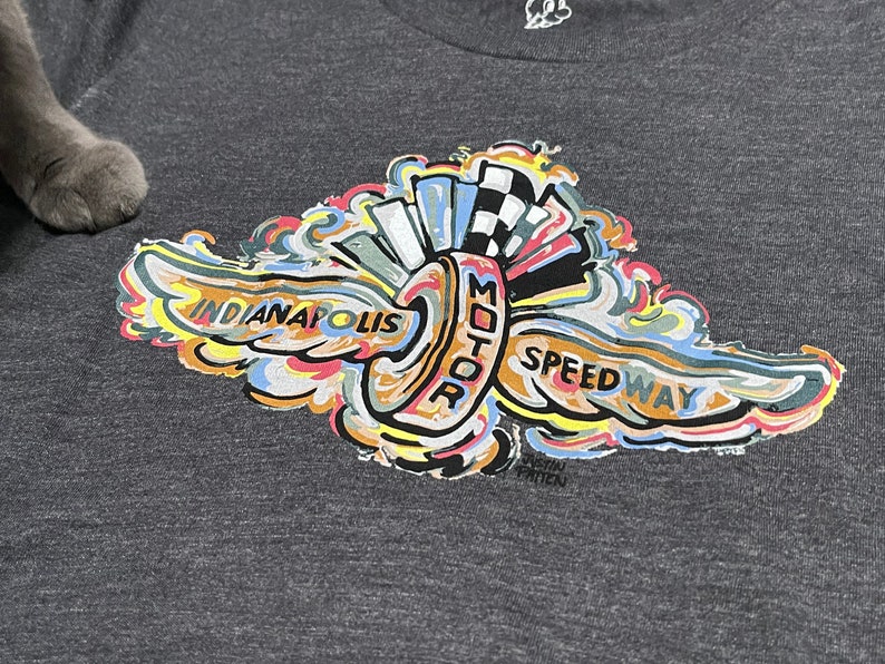 Puede incluir: Una camiseta gris con un dise&ntilde;o gr&aacute;fico colorido de un neum&aacute;tico estilizado con alas y el texto "Indianapolis Motor Speedway".