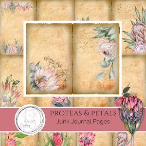 Puede incluir: Páginas de diario de arte Proteas & Petals. La imagen presenta un collage de fondos de papel de estilo vintage con ilustraciones florales en acuarela. Las páginas tienen un aspecto envejecido y desgastado con flores de protea en tonos rosa, morado y verde. El texto "Proteas & Petals Junk Journal Pages" es visible.