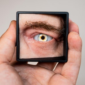 Realistic Silicone Face Prop in Box - Controllable Resin Eye - Disturbing Horror Oddity