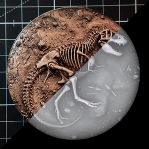 Può includere: Una base circolare con un rilievo di scheletro di dinosauro. La metà sinistra è dipinta in toni marroni terrosi con un effetto di terreno crepato, mentre la metà destra è in resina bianca opaca non dipinta che mostra la struttura ossea.