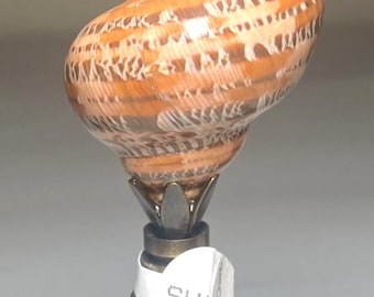 Finials Nautical Seashell Coastal Lamp Shade Finial