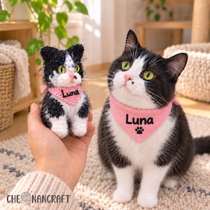 Puede incluir: Una pequeña figura de gato tejida a ganchillo en blanco y negro con ojos verdes y un pañuelo rosa con el nombre Luna, junto a un gato blanco y negro con ojos verdes que lleva un pañuelo rosa a juego con el nombre Luna y una huella.
