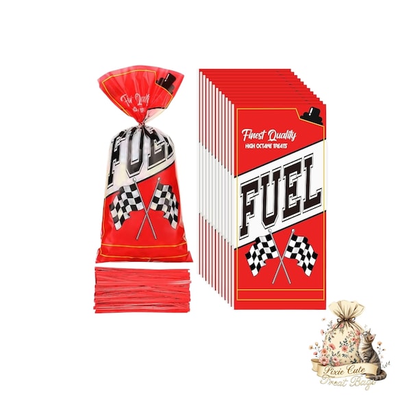 Race Car Treat Bags: Fast One Birthday Party Favors (5 Pieces)