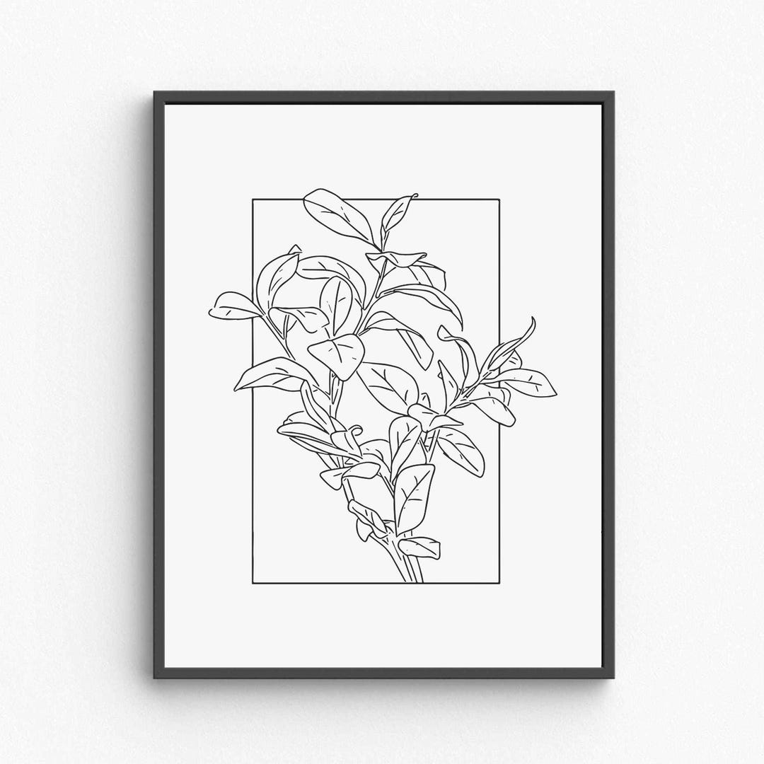 Botanical Line Art Print, Minimalist Floral Illustration (digital ...