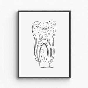 Arte mural imprimible de anatomía dental, póster de la estructura dental humana, decoración para consultorio dental, impresión educativa médica, descarga digital