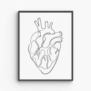 Heart Anatomy Printable Wall Art, Human Heart Medical Illustration, Vintage Organ Poster, Doctor Office Decor, Digital Download