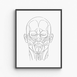 Face Muscles Anatomy Printable Wall Art, Human Facial Muscle Diagram, Medical Office Decor, Educational Poster, Digital Download
