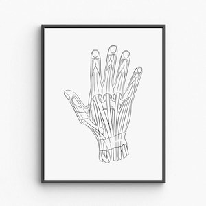 Hand Anatomy Printable Wall Art, Human Hand Bone and Muscle Diagram, Medical Office Poster, Vintage Educational Decor, Digital Download
