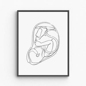 Minimalist Fetus Anatomy Line Drawing, Medical Womb Art, Pregnancy Sketch, Aesthetic Printable Wall Art