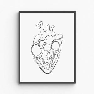 Heart Anatomy Printable Wall Art, Human Heart Medical Illustration Poster, Vintage Biology Decor, Doctor Office Wall Art, Digital Download