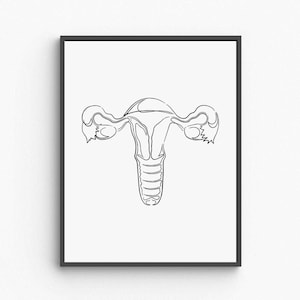 Uterus Anatomy Printable Wall Art, Female Reproductive System Poster, Medical Illustration Decor, Feminist Body Art, Digital Download
