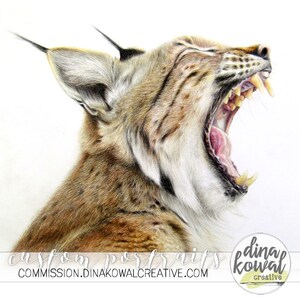 Wildcat Pride - Bobcat colored pencil  print