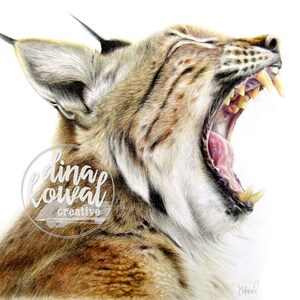 Notecards (set of 3) - Wildcat Pride - bobcat