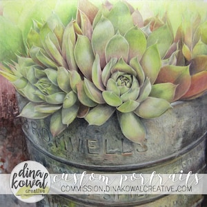 Where You&#39;re Planted - succulent - vintage planter - desert - hens and chicks