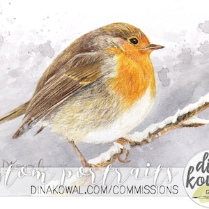 Notecards (ensemble de 3) - Anglais Robin