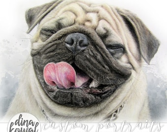 Big Poppy - Pug Dog 5" x 7" colored pencil  print