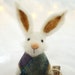 Needle Felted Animal , wool Rabbit , Needle Felted Rabbit , Easter ,  miniature animal , Home decor ,  Waldorf