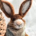 see more listings in the Needle felted hares section