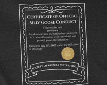 Personalized Silly Goose Award Shirt: Funny Kids Certificate Tee