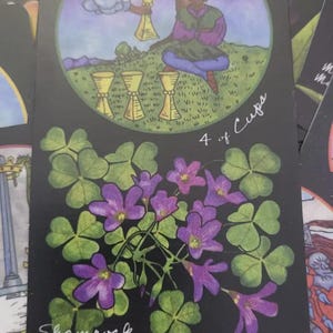 Carte dei Tarocchi Fiore della Volontà - Liber Florum Tarot 78 carte