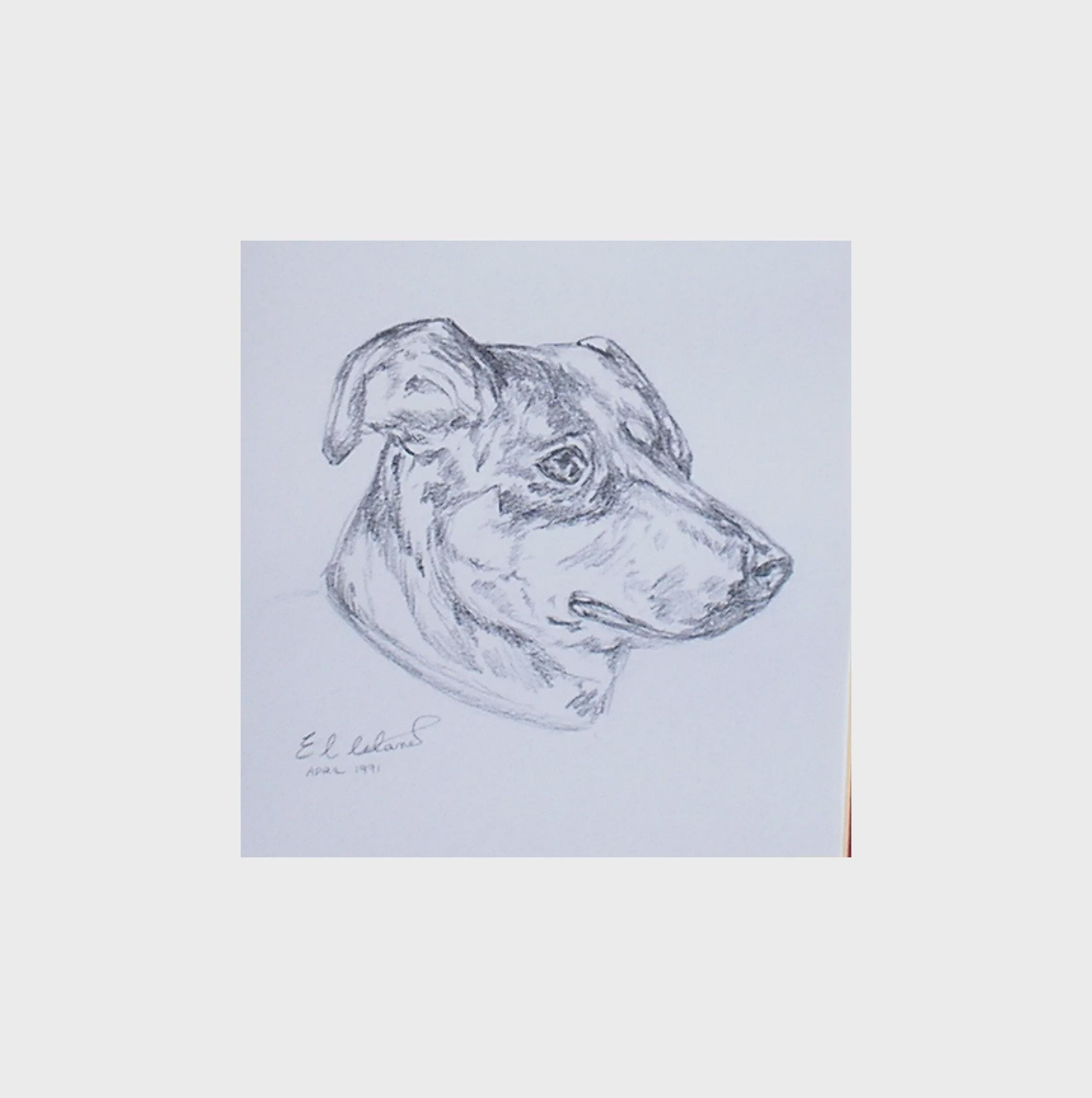 E L Leland British School Charming Portrait Study of a Corgi Dog Graphite Sketch 1991