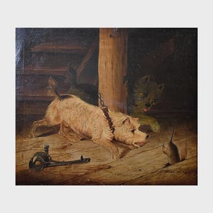Terriers Teasing a Rat Antique Oil Painting Follower George Armfield British School c1840