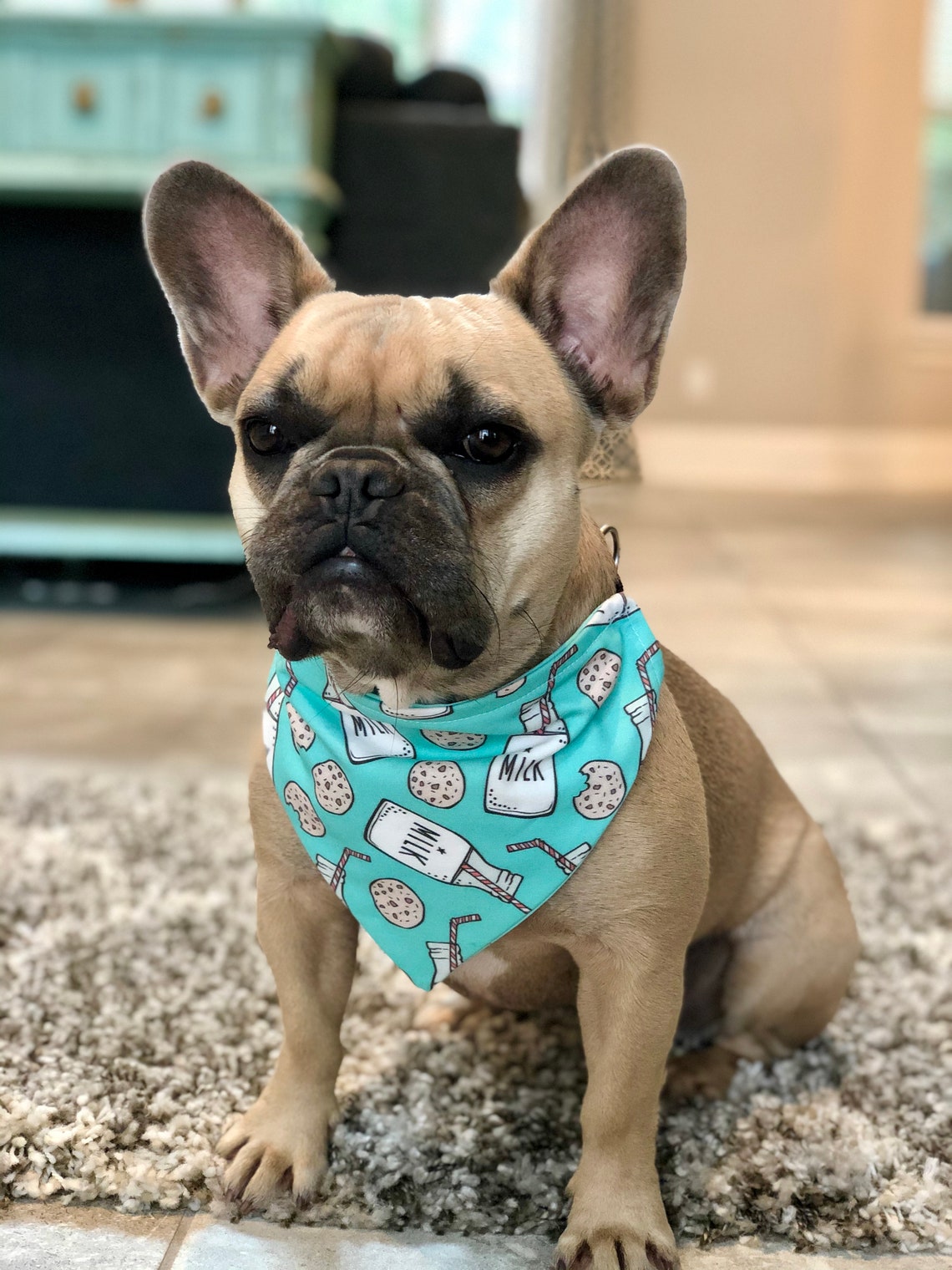 Milch &amp; Cookies Hund Bandana Lebensmittel Thema Hund Schal Etsy