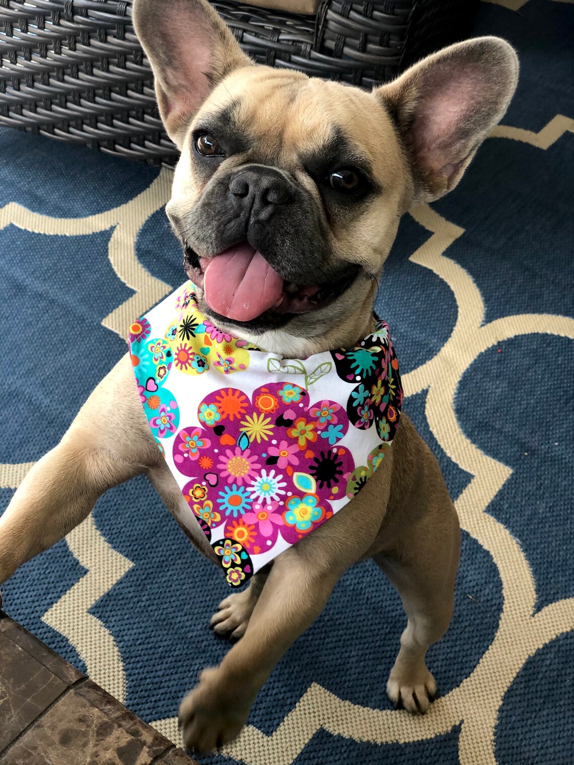 Girl Dog bandana floral dog bandana bandana personalized dog Etsy