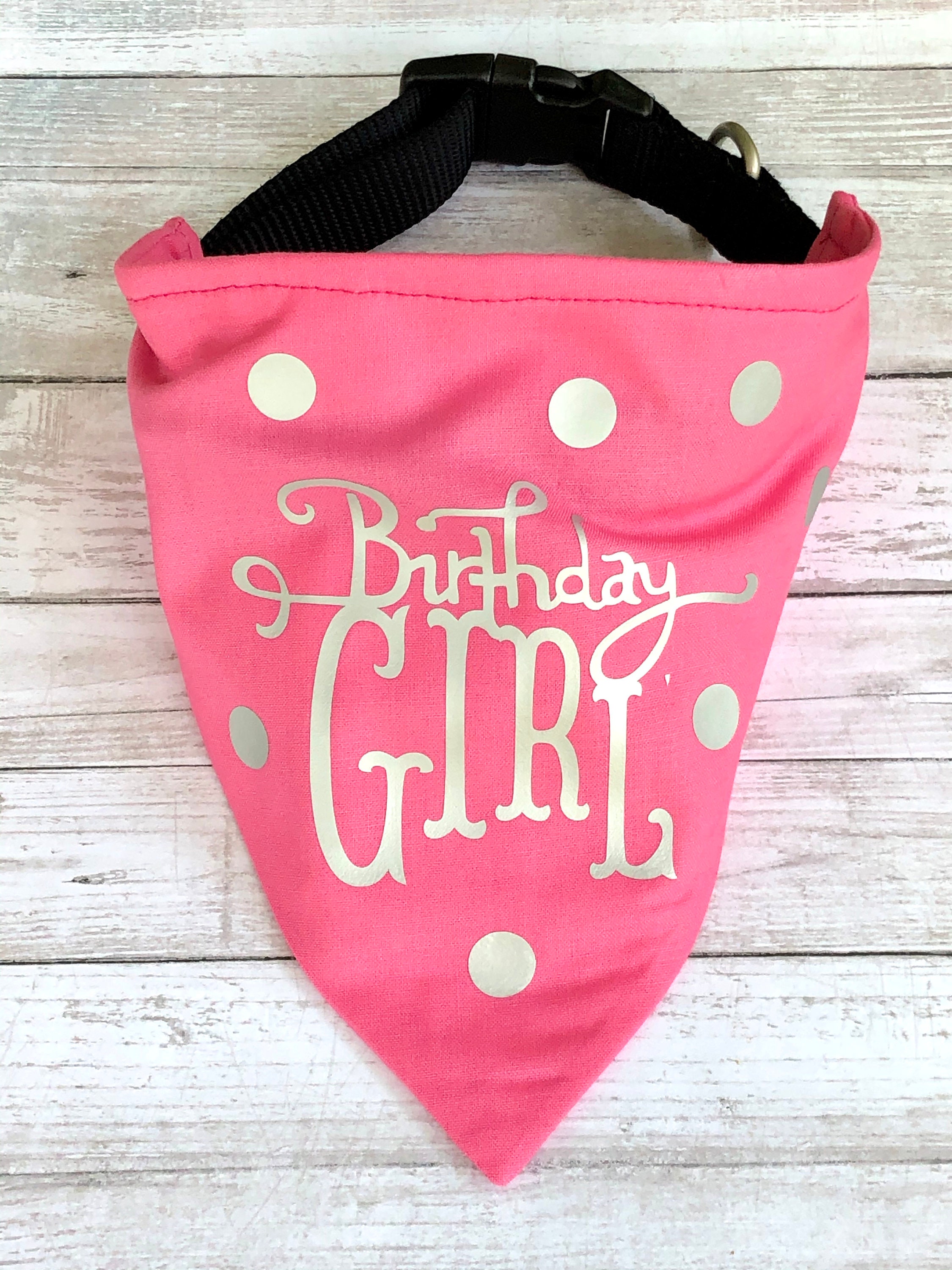Birthday Girl Dog Bandana girl Birthday dog bandana Dog Etsy