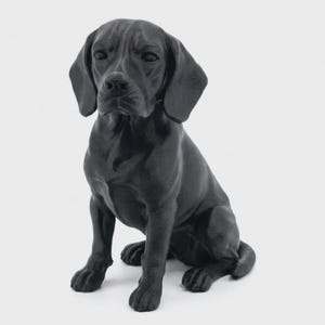 May include: A solid matte black figurine of a seated dog with floppy ears and a detailed snout. The sculpture captures the canine in a realistic sitting posture, showcasing smooth textures and defined facial features in a monochromatic finish.