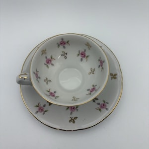 Winterling Bavaria China Tea Cup & Saucer Stamped Rare Roses Vintage