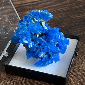 May include: A vibrant blue crystal cluster displayed in a black box with a white interior. The crystal formation has sharp, pointed structures and a rich, saturated color. The display box is set against a dark wooden surface.
