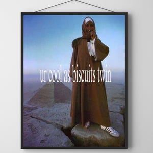 Poster Adidas con le Piramidi d'Egitto, stampa di meme estetici vintage, arte storica divertente, decorazione murale surreale, poster con due citazioni di "Cool as Biscuits"