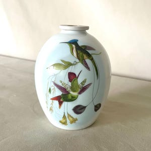 Può includere: Un vaso in ceramica bianca dalla forma arrotondata, caratterizzato da uno sfondo azzurro e da un'illustrazione dettagliata di due colibrì con piumaggio verde, rosso e blu, circondati da un delicato fogliame verde e piccoli fiori gialli.