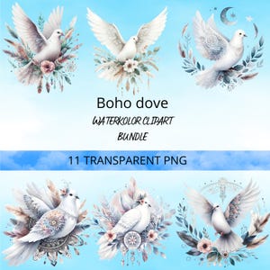 White doves clipart - PNG graphics for weddings, baptisms and invitations| Transparent background, watercolor illustrations| Peace and love