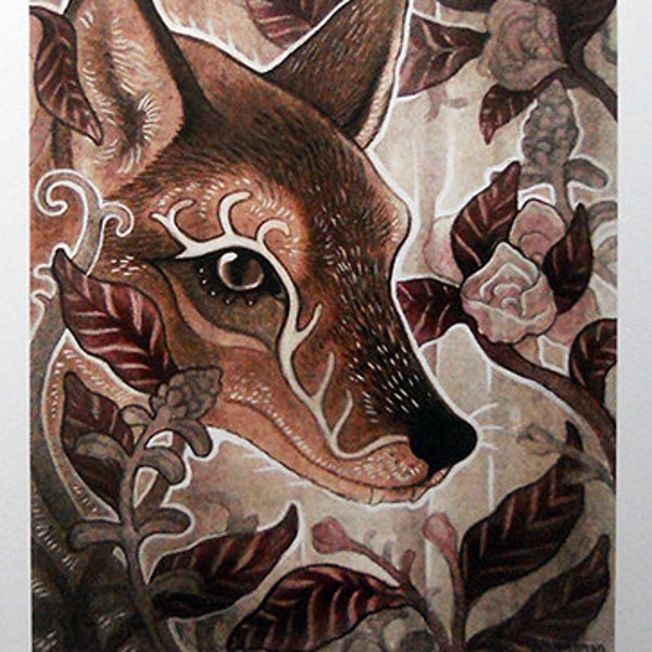 Swift Fox - 8 1/2 x 11 Print
