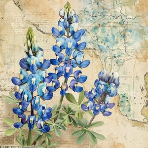Kit de diario basura Bluebonnet Dreams / Páginas imprimibles de flores silvestres de Texas + pegatina adicional
