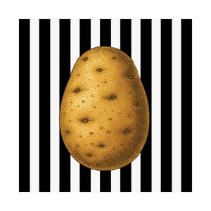 Puede incluir: Ilustración detallada de una patata, en tonos marrones y beige, centrada sobre un fondo de rayas verticales negras y blancas. La patata tiene una superficie texturizada con pequeños puntos oscuros.