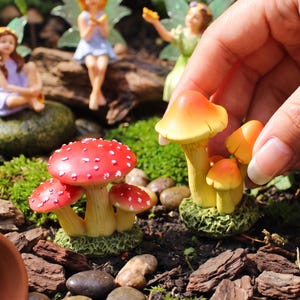 May include: A collection of miniature mushroom figurines including a red-capped toadstool with white spots, a cluster of yellow-orange mushrooms, and two brown textured morel mushrooms, accompanied by small fairy figures and terracotta pots.